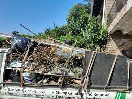 Best Electronics and E-Waste Disposal  in Annetta, TX